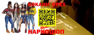 гашик Будённовск
