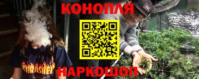 гашик Будённовск