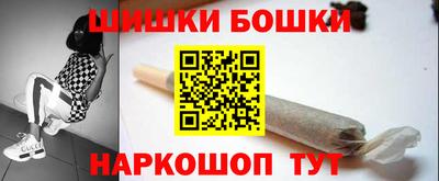 гашик Будённовск