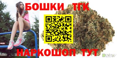 гашик Будённовск