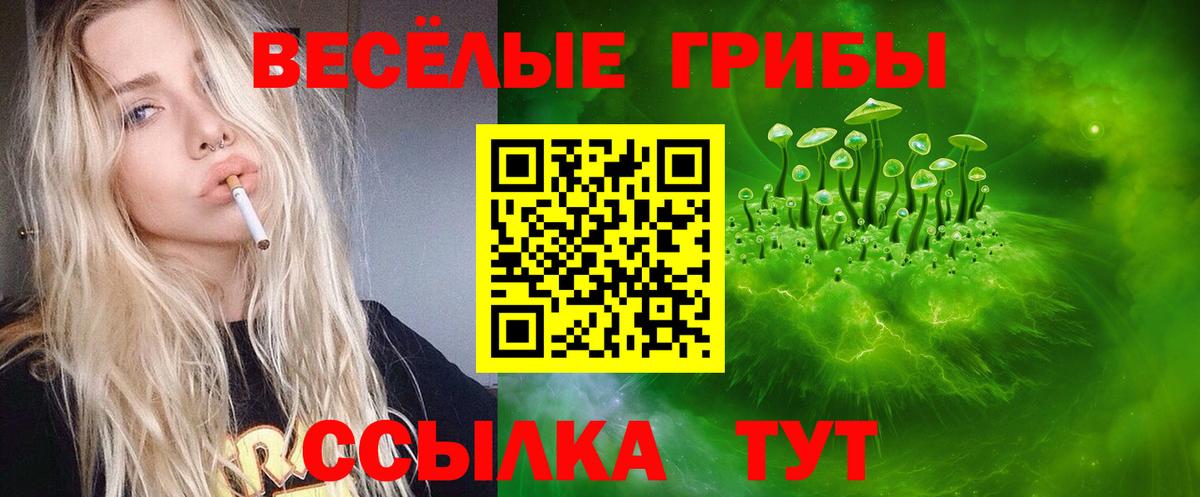 Галлюциногенные грибы ЛСД Коркино